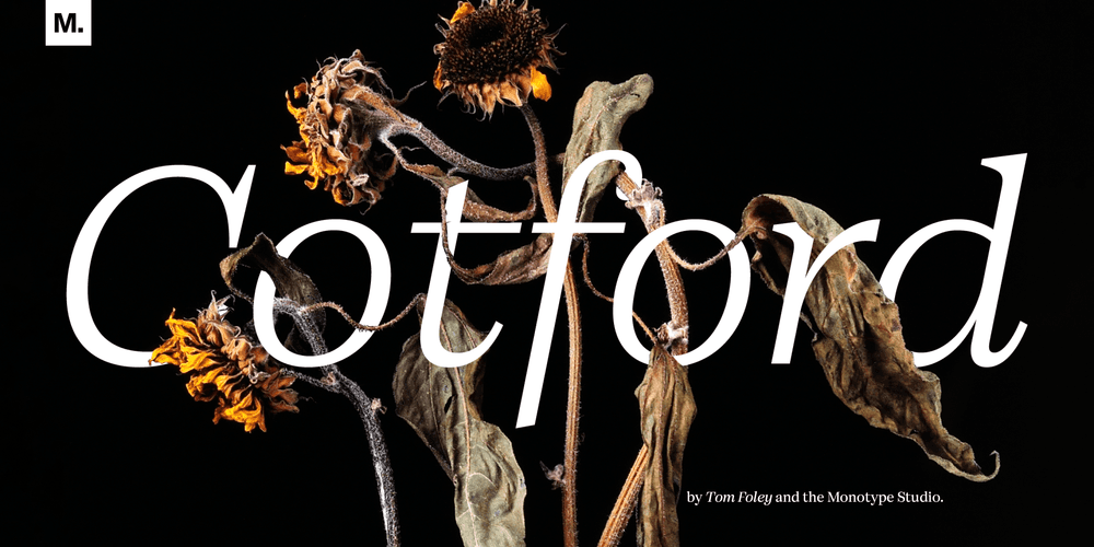 襯線字體：筆畫末端有細小的裝飾線條，給人沉穩有力之感。即使在長篇文本中，它也能保持穩定的節奏，營造出經典優雅的氛圍，因此常用於書籍、雜誌等正式出版物。